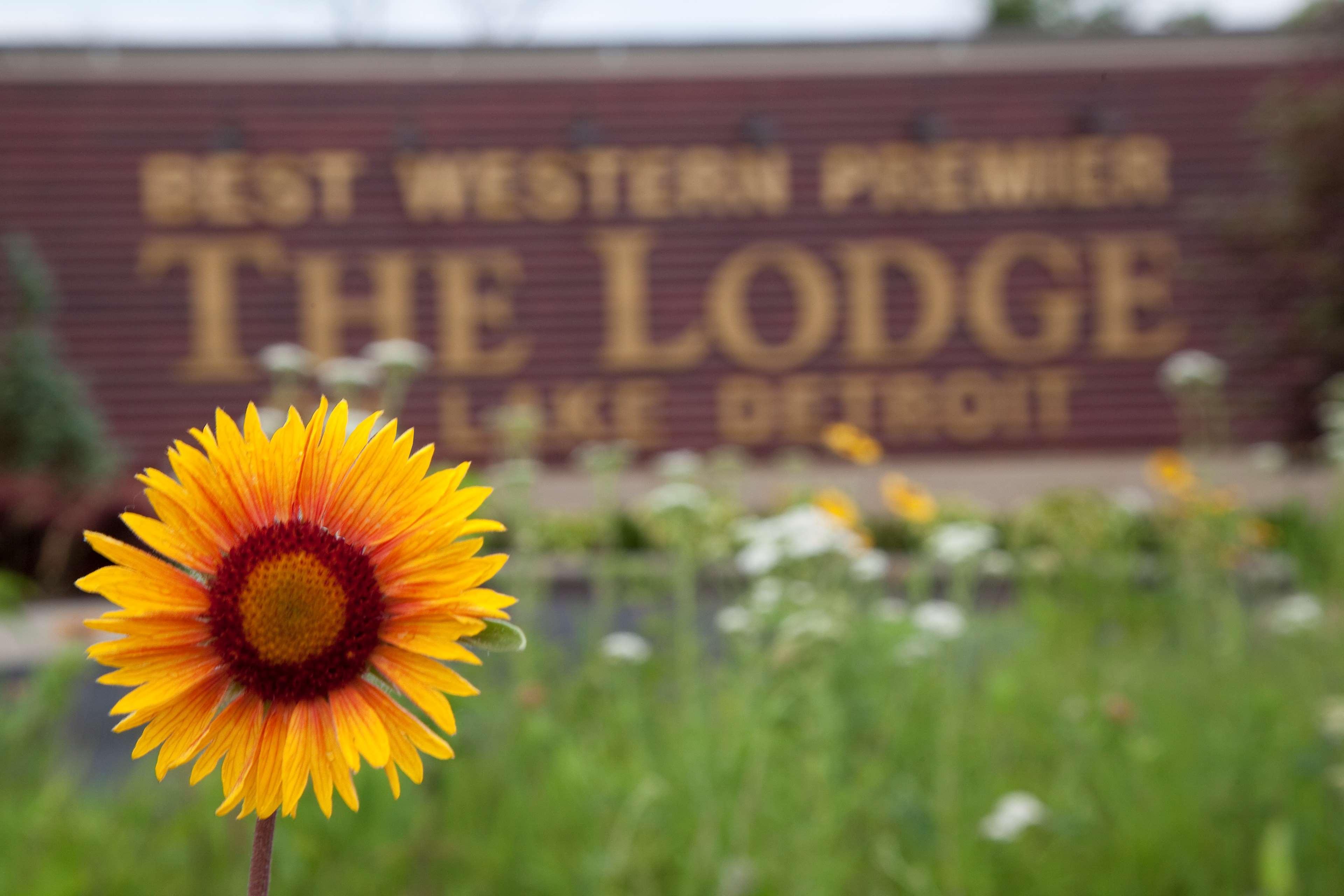 Best Western Premier The Lodge On Lake Detroit Detroit Lakes Exterior foto